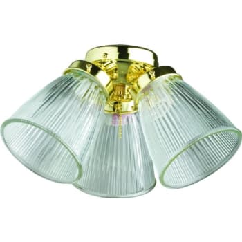 Incandescent Three-Light Ceiling Fan Light Kit Tulip Polished Brass