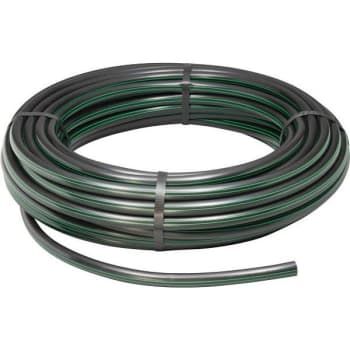 Image for Rain Bird 1/2 In X 100 Ft Distribution Tubing For Drip Irrigation from HD Supply