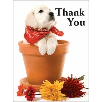 Personalized Card, Thank You/Puppy Design, No Envelope Imprint Package Of  50 | HD Supply