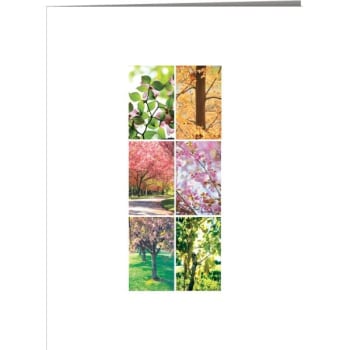 Personalized Card, Four Seasons Design, No Envelope Imprint Package Of 100