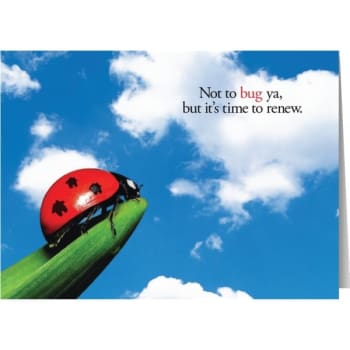 Personalized Simpleside Card Lady-Bug-Ya Design Package Of 50