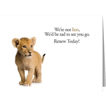 Personalized Simple Side Cards, Big Kitty Design Envelope Imprint Package Of 50