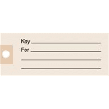 Image for Paper Key Tag (100-Pack) from HD Supply