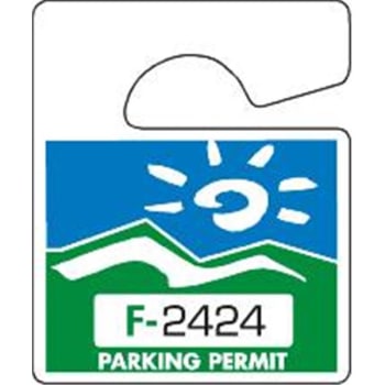 Non-Reflective Plastic Parking Permit Tags, Blue/green, Small, Package Of 100