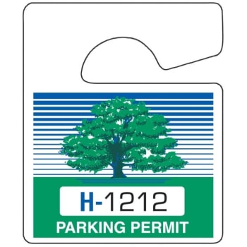 Plastic Parking Permit Tags, Non-Reflective, Green/blue, Small, Package Of 100