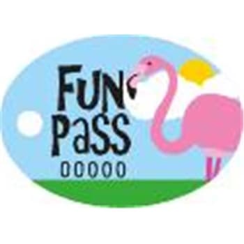 Image for Pool Pass Flamingo, Package Of 100 from HD Supply