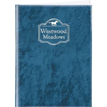 Image for Custom Solid Marble Pocket Folders, Blue Package Of 100 from HD Supply