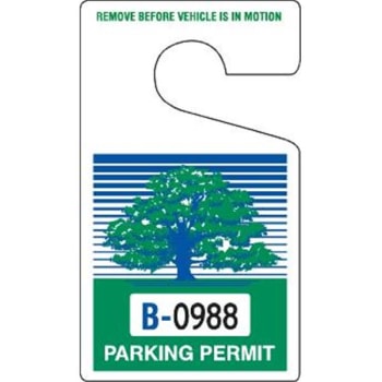 Image for Plastic Parking Permit Tags, Blue/green, Large, Package Of 100 from HD Supply