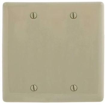 Hubbell 2-Gang Ivory Medium Size Box Mount Blank Wall Plate