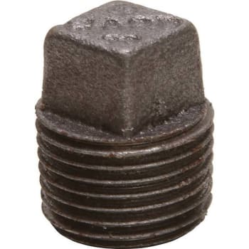 Image for Ward Black Malleable Plug 1/2 In from HD Supply