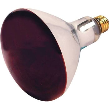 Image for Satco 250-Watt R40 Medium Base Incandescent Heat Lamp Bulb Case Of 12 from HD Supply