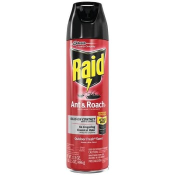 Image for Raid 17.5 Oz Ready-To-Use Ant And Roach Killer from HD Supply
