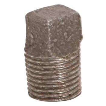 Image for Proplus 1-1/2" Black Malleable Plug from HD Supply
