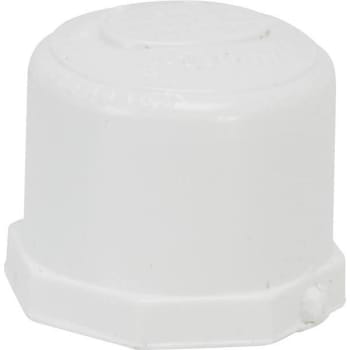 Image for Proplus Pvc Slip Cap 1/2 In from HD Supply