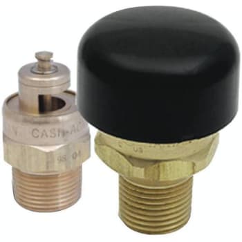 Image for Cash Acme 3/4 In. Vacuum Relief Valve from HD Supply