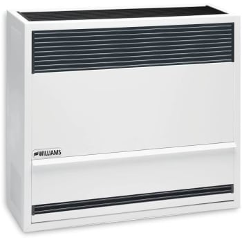 Image for Williams  22000 Btuh 67% Afue Natural Gas Direct-Vent Gravity Wall Heater from HD Supply