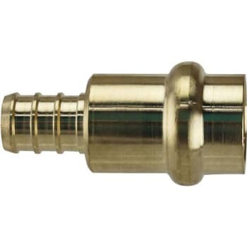 Image for Apollo 1/2 In. Brass PEX-B Barb X 1/2 In. Press Adapter from HD Supply