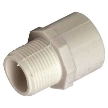 Image for ProPlus 2 In. PVC Male Adapter from HD Supply