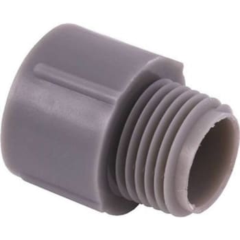 Image for Carlon 1-1/4 In. PVC Conduit Male Adapter from HD Supply