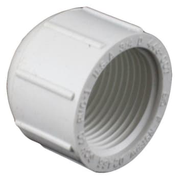 Image for 3/4" Pvc Fpt Cap Sch 40 from HD Supply