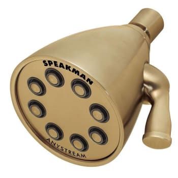 Image for Speakman Icon S-2251-Bbz Showerhead from HD Supply