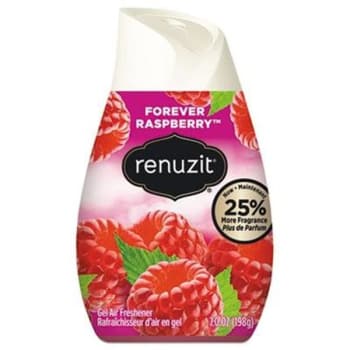 Image for Renuzit 7 Oz Forever Raspberry Air Freshener (12-Carton) from HD Supply