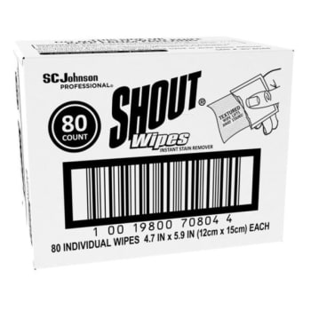 Shout Wipe & Go Instant Stain Remover, 4.7 X 5.9, Carton Of 80