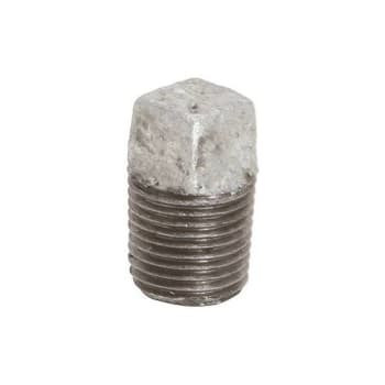 Image for ProPlus 3/4 In. Lead-Free Galvanized Malleable Plug from HD Supply