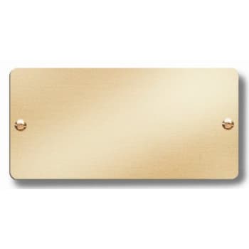 Image for Brass Custom Door Plate, Rounded Corner Rectangle, 4 X 2 from HD Supply