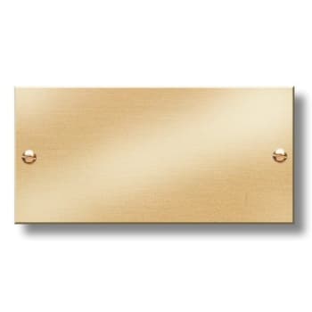 Image for Brass Custom Door Plate, Square Corner Rectangle, 4 x 2 from HD Supply