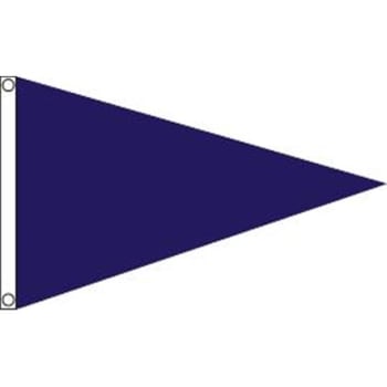 Image for Pennant, Purple, 5' x 3' from HD Supply