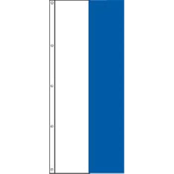 Image for Vertical 2 Color Vertical Panel Flag, White/Royal Blue, 3' x 8' from HD Supply