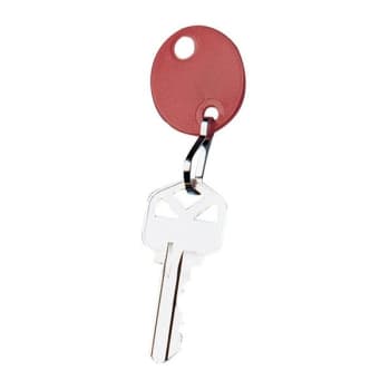Lucky Line Red Oval Key Tags, Package Of 20