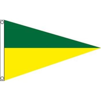 Image for Pennant, Green/Yellow, 5' x 3' from HD Supply
