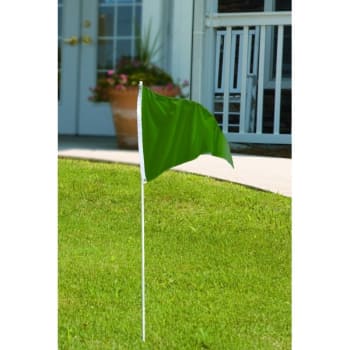 Pennant Flag, Green, 3' X 2'