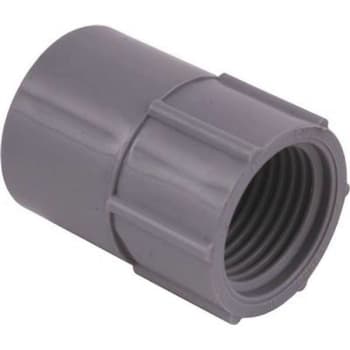 Image for Carlon 1-1/4 In. PVC Conduit Female Adapter from HD Supply