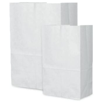 Duro 5 In. X 3-1/8 In. X 9-3/4 In. 4 Lb. Size 30 Lb. White Grocery Bags (500-Pack)