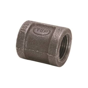 Image for Proplus 1/4 in. Black Malleable Coupling from HD Supply