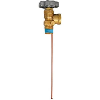 Mec Service Valve 3/4 In. Mnpt X Female Pol With 11.7 In. Diptube And Bleeder No Relief Valve
