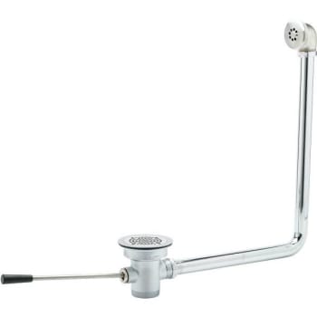 Image for T&S 3-1/2 in. x 2 in. Lever Waste Drain with Overflow from HD Supply