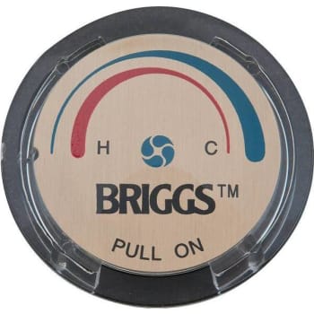 Image for Briggs Plumbing Products Single Control Index Button (For P300 Handle) from HD Supply