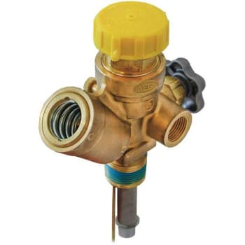 Image for Mec Asme Multivalve 1 In. Ngt W/ Fill 250 Psi Relief 420 Lb. 12 In. Diptube from HD Supply