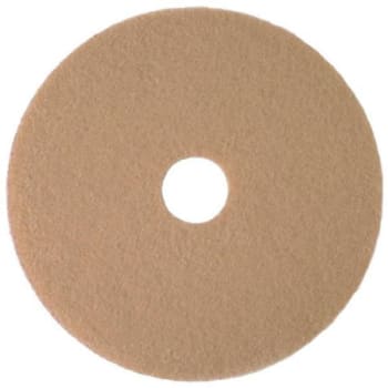 Image for Renown Burnishing Floor Pad, 24 In., Tan from HD Supply