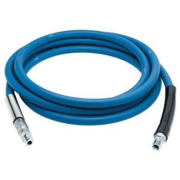 Image for T&S 3/8 in. x 30 ft. Blue Replacement Hose from HD Supply