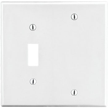 Image for Hubbell Standard 2-Gang Toggle Switch/Blank Nylon Wall Plate (White) from HD Supply