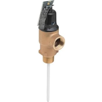 Image for Cash Acme 3/4 In. Mip Commercial T&p Relief Valve from HD Supply