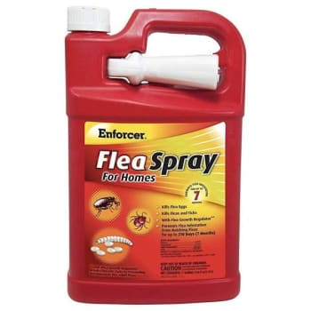 Image for Enforcer 1 Gal. Enforcer Flea Spray from HD Supply