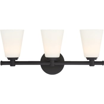 Image for Designers Fountain Parker 20.5 in. 3-Light LED Bath Vanity Fixture from HD Supply