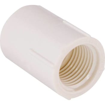 Image for 1.25 In. Female PVC Adapter from HD Supply