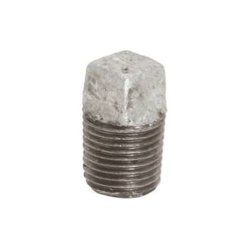 ProPlus 1/2 In. Lead Free Galvanized Malleable Plug